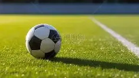 od体育 资讯 124411 muq