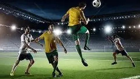 瑞士货币非纯法郎