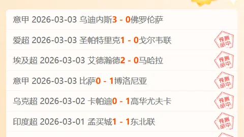 “2025海淀学院路羽毛球赛事盛启，点燃创新激情”